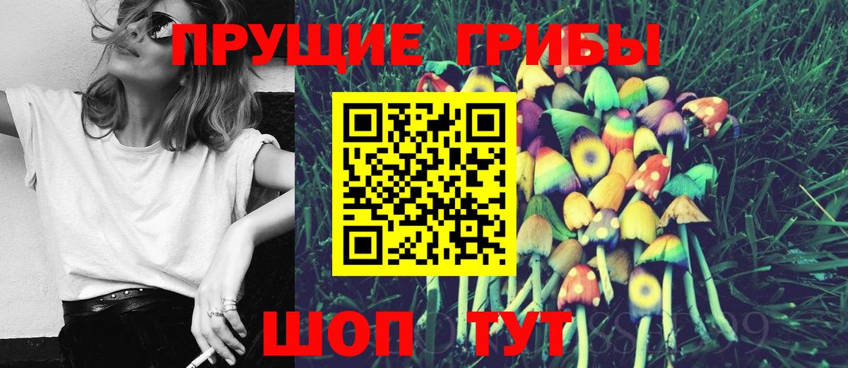 Галлюциногенные грибы мицелий  Вход с VPN  Каменск-Шахтинский 